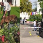 दिल्ली विधानसभा में सुरक्षा में बड़ी चूक: बैरिकेड तोड़कर घुसी कार, आरोपी हिरासत में