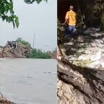 राघोपुर जमींदारी तटबंध कटाव में समाया 100 साल पुराना चैती दुर्गा मंदिर, कटाव की चपेट में अब रेलवे लाइन और हजारों घर