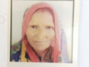 शेखपुरा हादसे में महिला की मौत