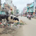 दानापुर