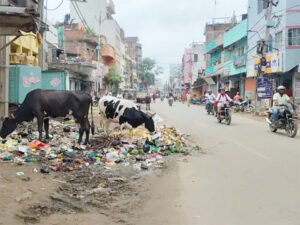दानापुर