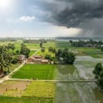 बिहार में अगले 7 दिन कैसा रहेगा मौसम? बारिश पर आया बड़ा अपडेट, जानें पटना समेत सभी जिलों का हाल