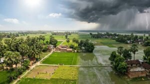 शुष्क